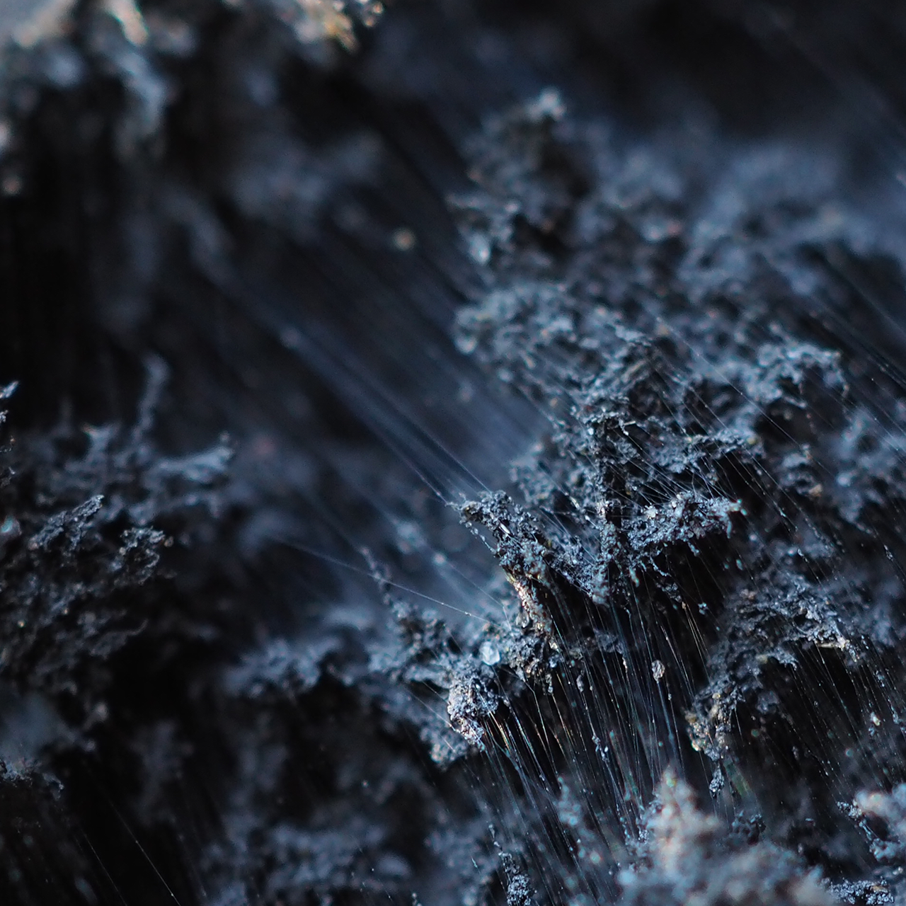 COSMIC MEMORY / Incense Sticks